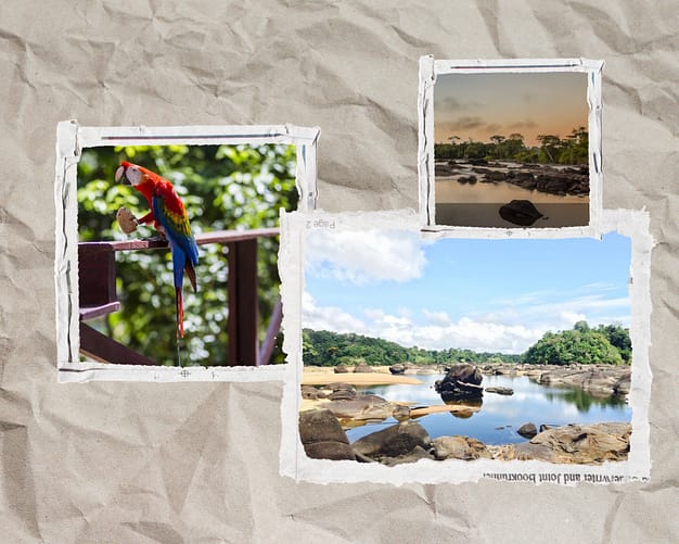 Neutral Aesthetic Friendship Photo Collage